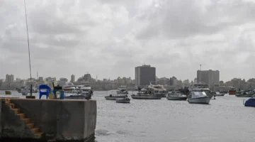 طقس الإسكندرية غدًا أمطار خفيفة مع انخفاض الحرارة ونشاط ملحوظ في الرياح 1